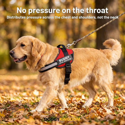 Personalized NO PULL Mesh Summer Harness