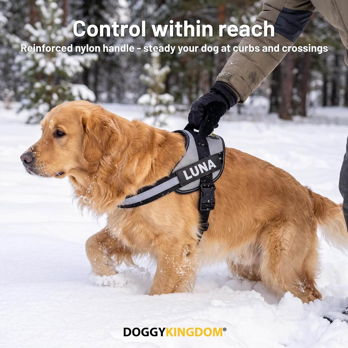 Personalized NO PULL Mesh Summer Harness