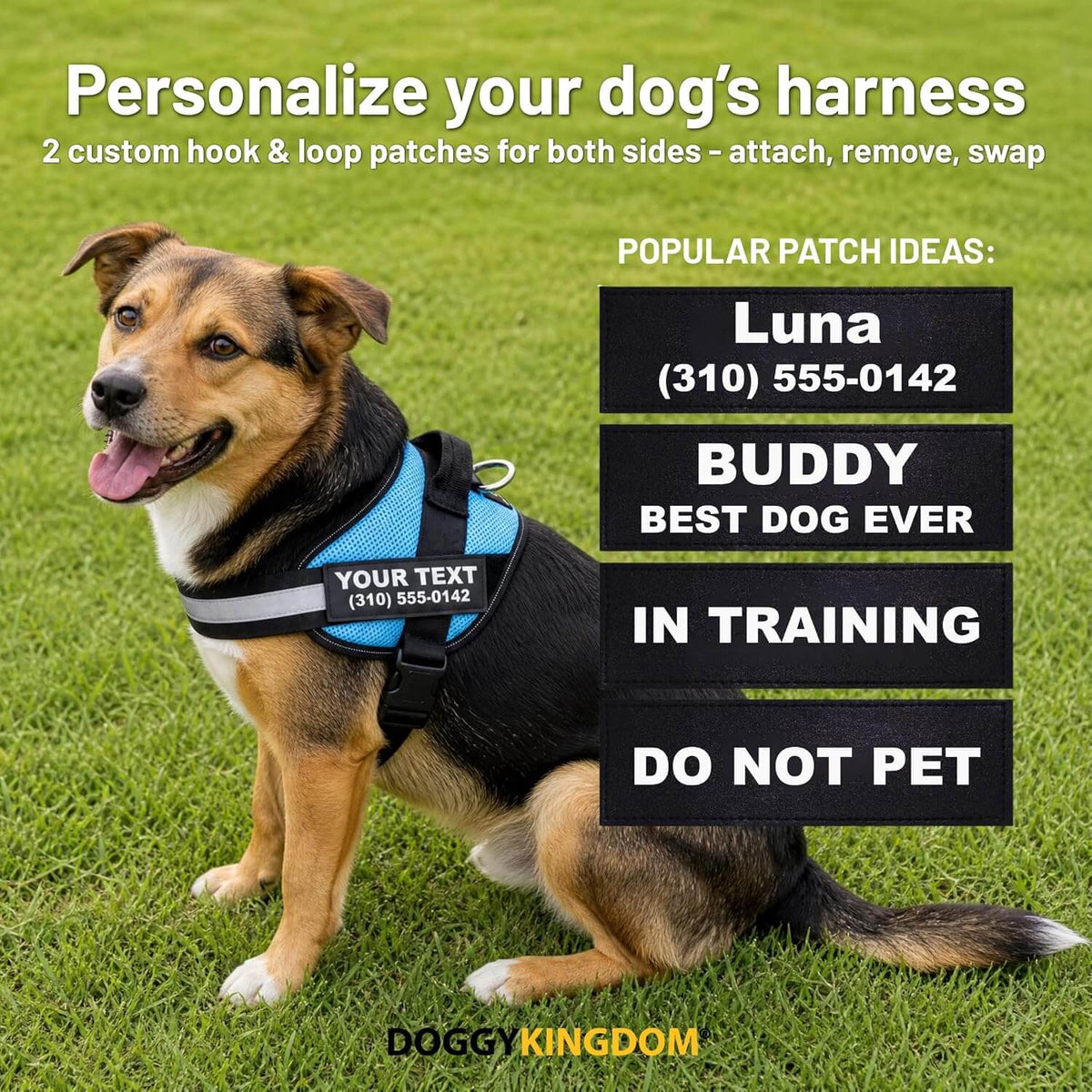 Personalized NO PULL Mesh Summer Harness