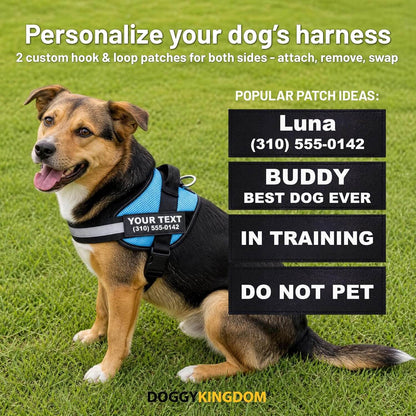 Personalized NO PULL Mesh Summer Harness