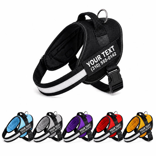 Personalized NO PULL Mesh Summer Harness