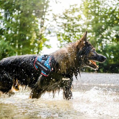 Lifetime Warranty Personalized Doggykingdom® NO PULL Harness