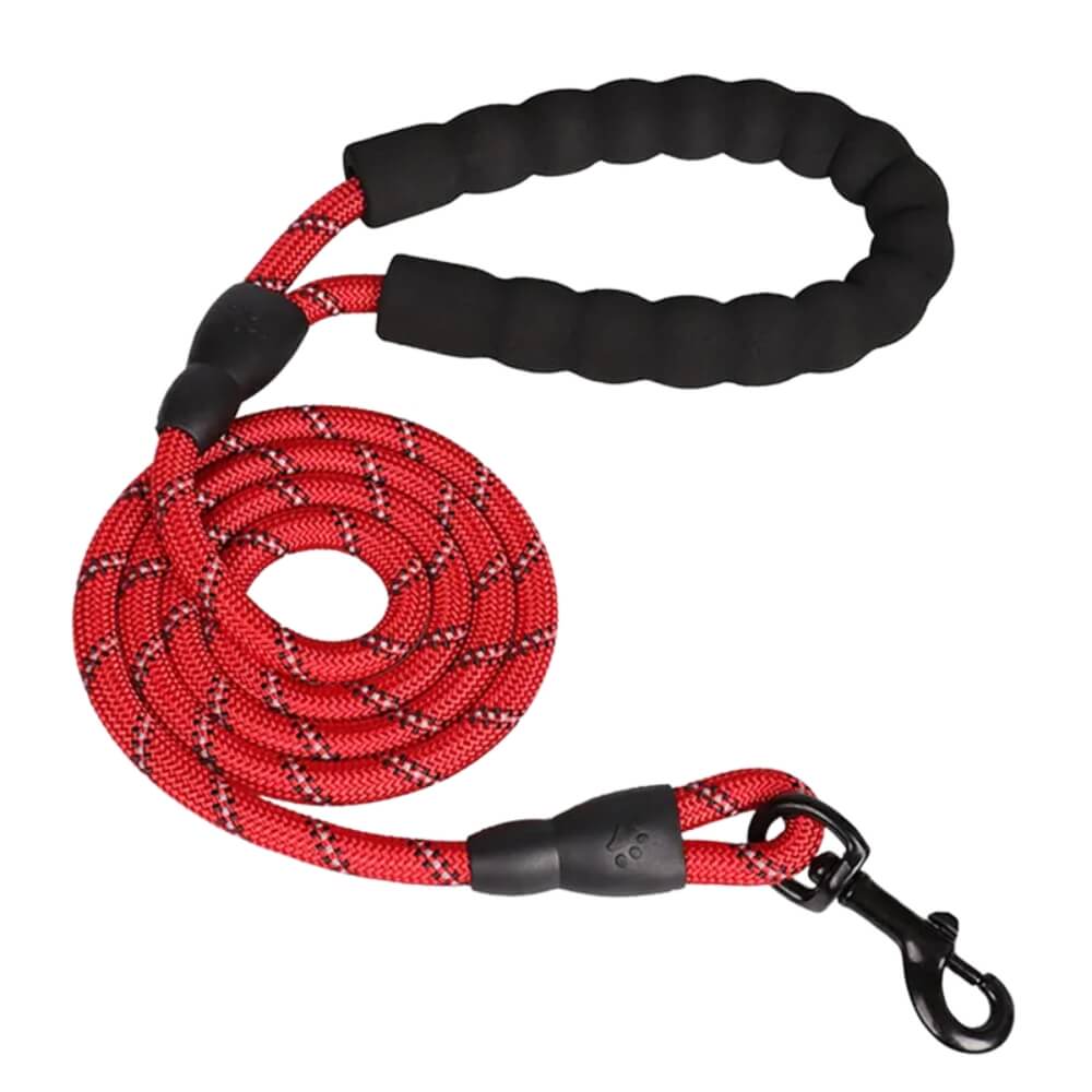 Premium Quality Nylon Reflective Dog Leash