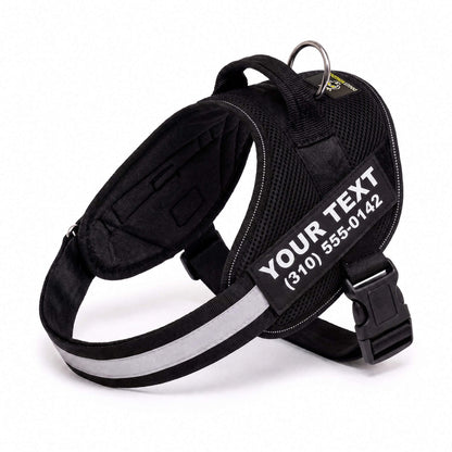 Personalized NO PULL Mesh Summer Harness