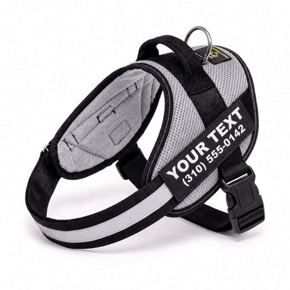 Personalized NO PULL Mesh Summer Harness