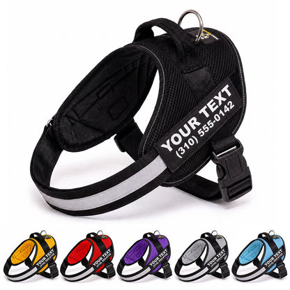 Personalized NO PULL Mesh Summer Harness