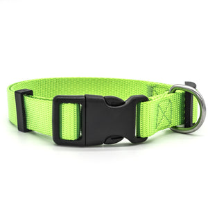 Green high quality nylon dog collar with stainless steel D-Ring.