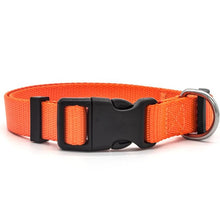 Preview Image: Orange high quality nylon dog collar with stainless steel D-Ring.