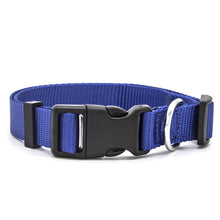 Preview Image: Blue high quality nylon dog collar with stainless steel D-Ring.