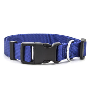 Blue high quality nylon dog collar with stainless steel D-Ring.