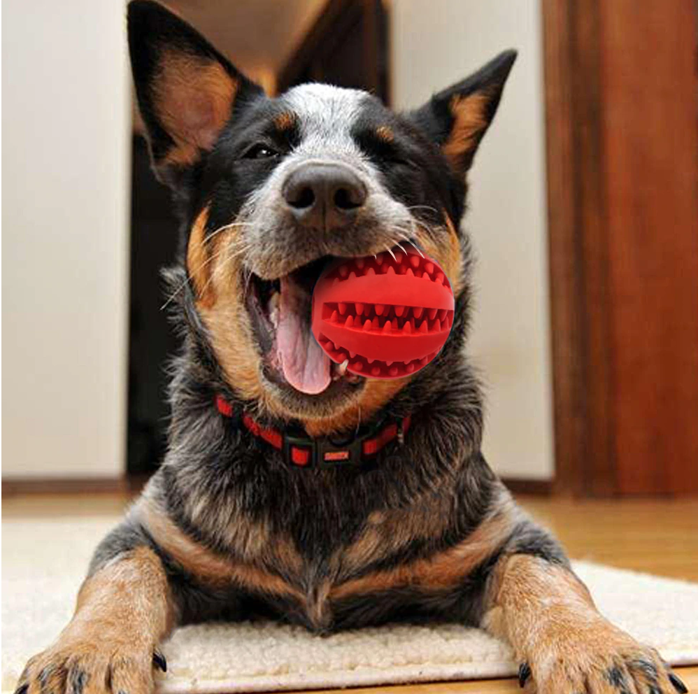 Doggykingdom Tooth Cleaning Chew Dog Ball Toy