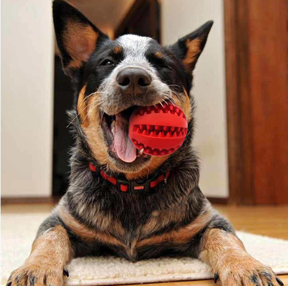 Doggykingdom® Tooth Cleaning Chew Dog Ball & Toy