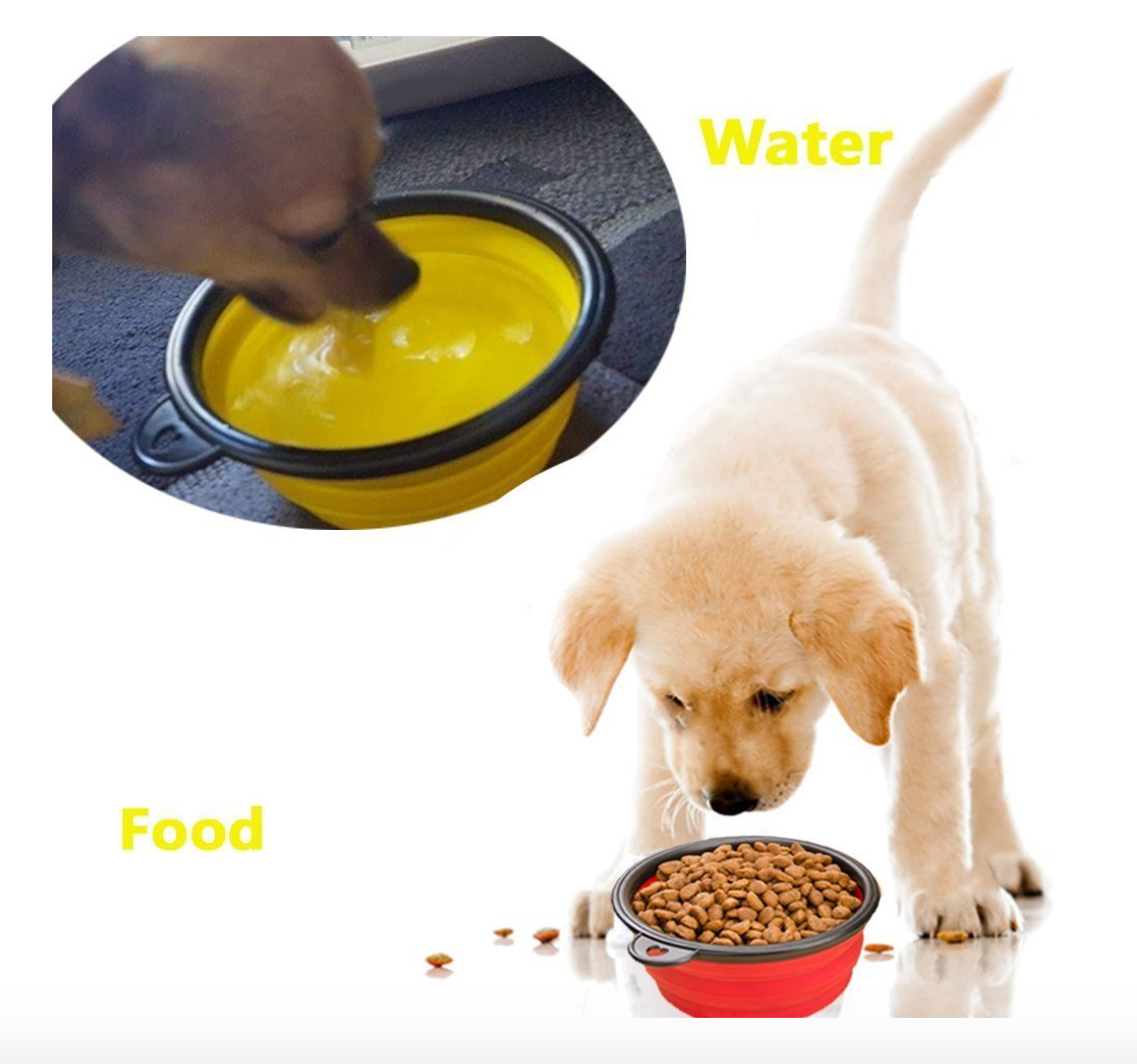 Portable and Collapsible Silicone Dog Travel Bowl