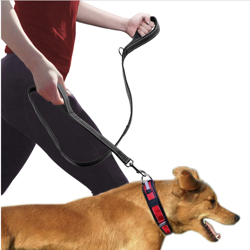 Double Handle Heavy Duty Dog Leash for Control/Safety/Training by Doggykingdom®