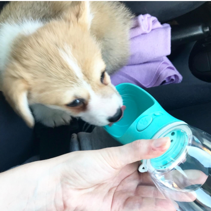 Doggykingdom® Water Bottle