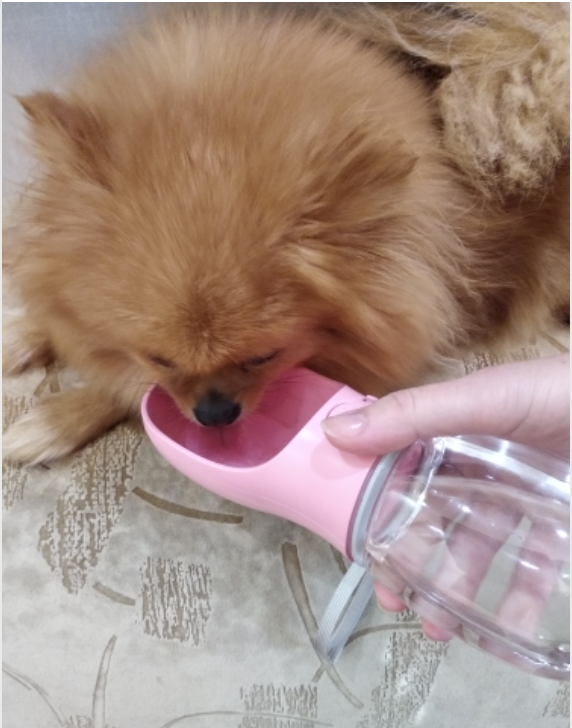 Doggykingdom® Water Bottle