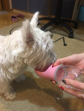 Preview Image: Doggykingdom® Water Bottle