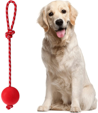 Durable Natural Rubber Ball - Fun to Chew, Chase and Fetch