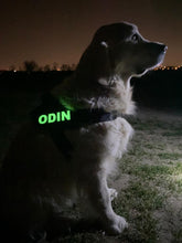Preview Image: Glow in the Dark Custom Velcro Label / Patches for Dog Harness by Doggykingdom®
