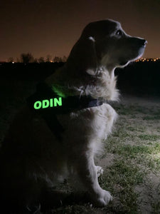 Glow in the Dark Custom Velcro Label / Patches for Dog Harness by Doggykingdom®