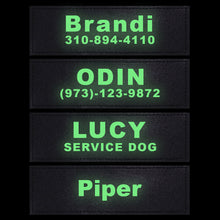 Preview Image: Glow in the Dark Custom Velcro Label / Patches for Dog Harness by Doggykingdom®