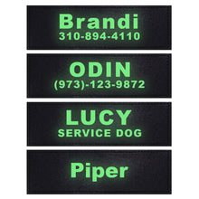 Preview Image: Glow in the Dark Custom Velcro Label / Patches for Dog Harness by Doggykingdom®