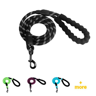 Premium Quality Nylon Reflective Dog Leash by Doggykingdom®