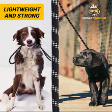 Preview Image: Premium Quality Nylon Reflective Dog Leash by Doggykingdom®