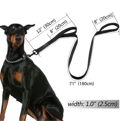 Double Handle Heavy Duty Dog Leash for Control/Safety/Training by Doggykingdom®