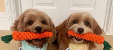 Preview Image: 10 Piece Dog Toy Bundle (for Aggressive Chewers)