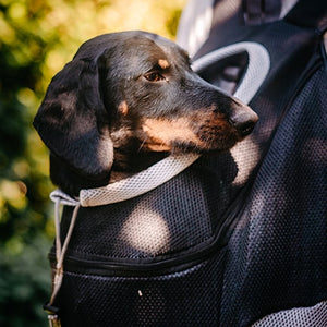 Lifetime Warranty Doggykingdom® Dog Backpack
