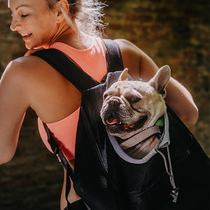 Lifetime Warranty Doggykingdom® Dog Backpack