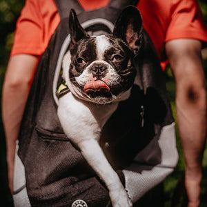 Lifetime Warranty Doggykingdom® Dog Backpack