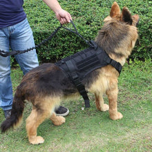 Preview Image: Tactical Double Handle Heavy Duty Dog Leash