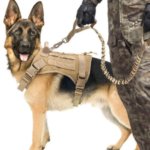 Tactical Double Handle Heavy Duty Dog Leash