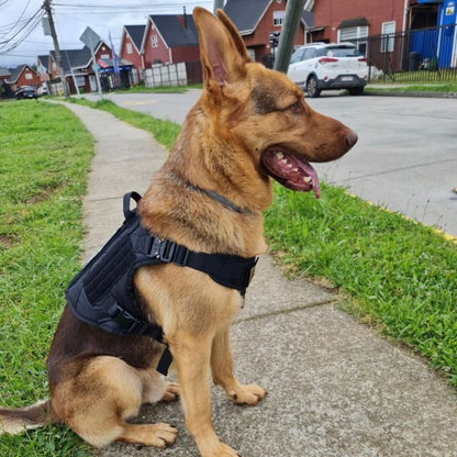 Tactical Harness & Tactical Double Handle Heavy Duty Leash BUNDLE