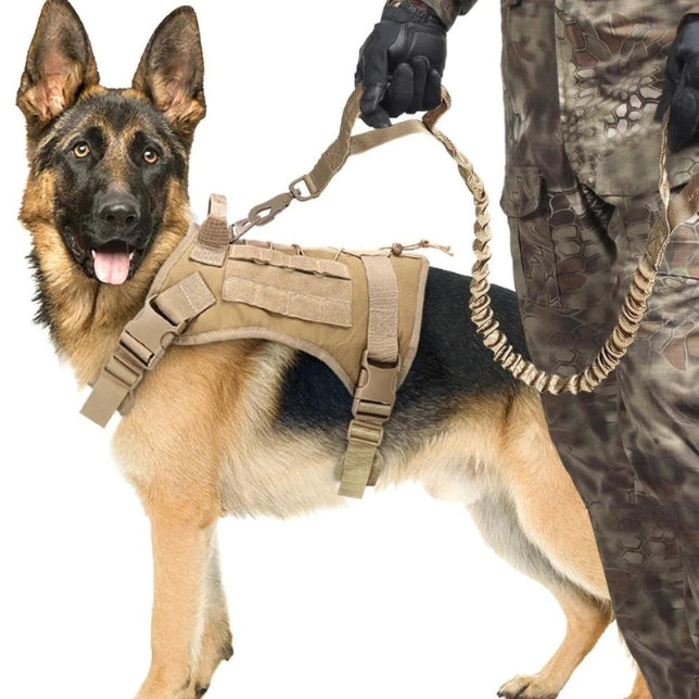 Tactical Harness & Tactical Double Handle Heavy Duty Leash BUNDLE