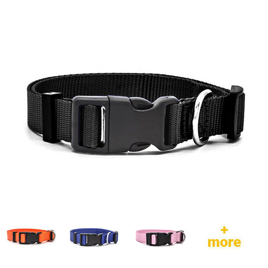 Overview of high quality nylon dog collars in color black, orange, blue and rosa. 