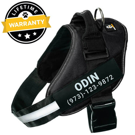 Dog Harness Personalized No Pull & Lifetime Warranty Doggykingdom