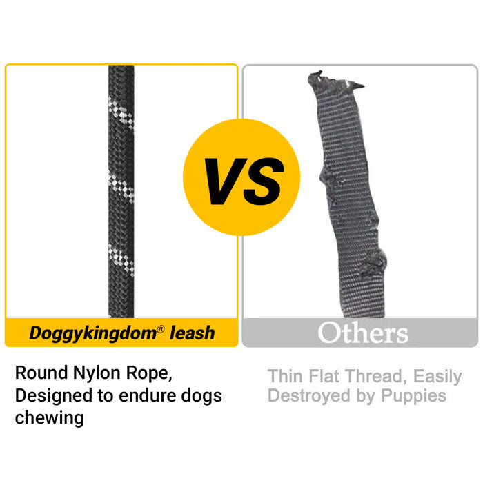 Premium Quality Nylon Reflective Dog Leash