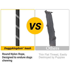 Premium Quality Nylon Reflective Dog Leash by Doggykingdom®