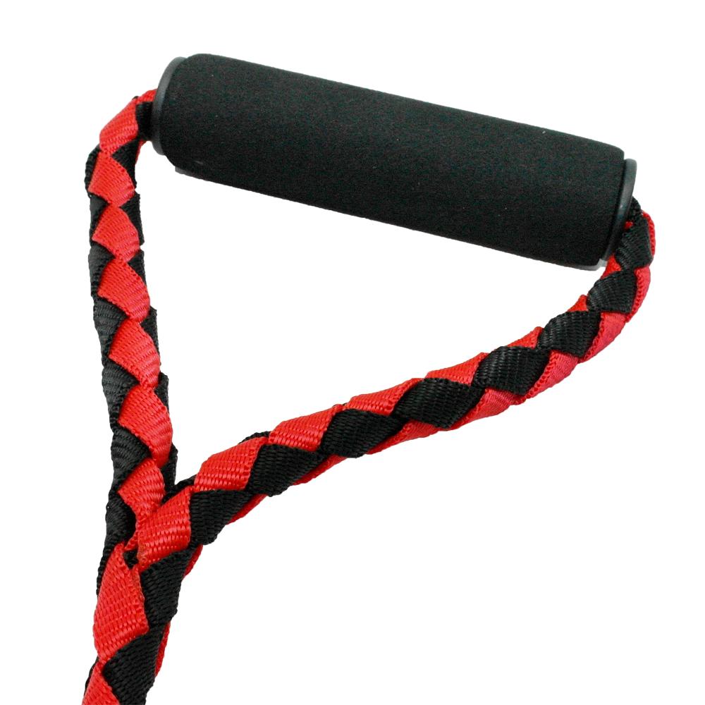 Power Double Leash 2 in 1 Dog Leash