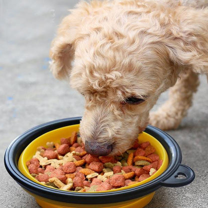Portable and Collapsible Silicone Dog Travel Bowl