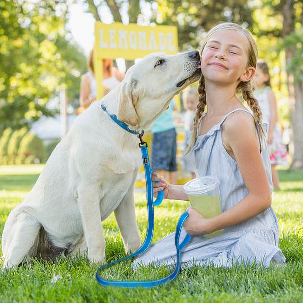 Double Handle Heavy Duty Dog Leash for Control/Safety/Training by Doggykingdom®