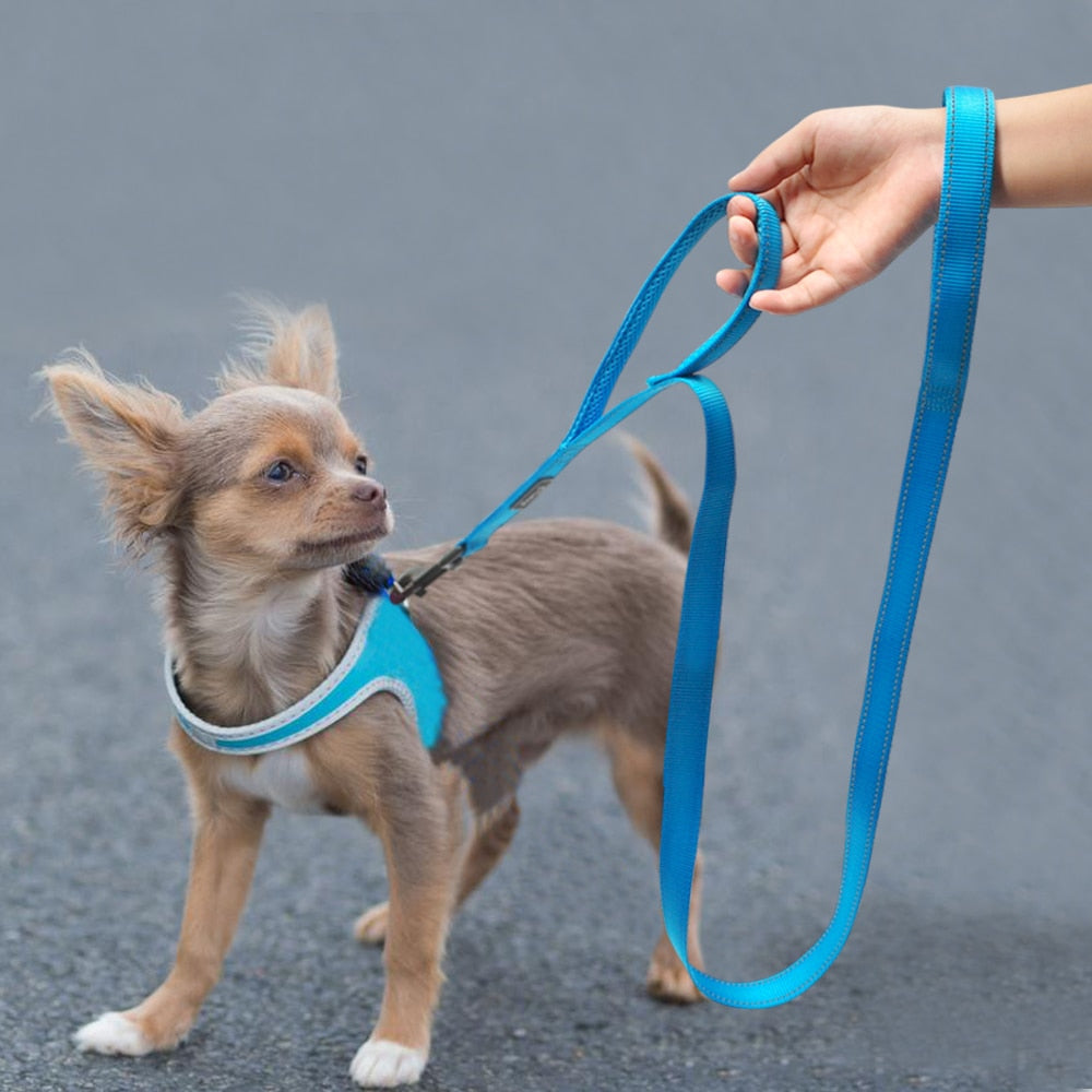 Double Handle Heavy Duty Dog Leash for Control/Safety/Training by Doggykingdom®