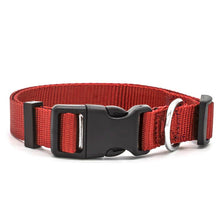 Preview Image: Red high quality nylon dog collar with stainless steel D-Ring.