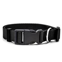 Preview Image: Black high quality nylon dog collar with stainless steel D-Ring.